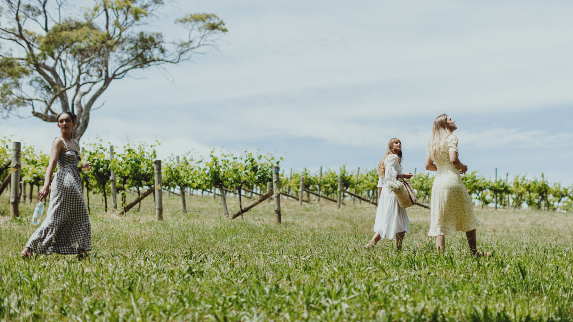 Three women walking in front of vineyard, one holds a bottle of Angove's Naturalis Organic wine. 