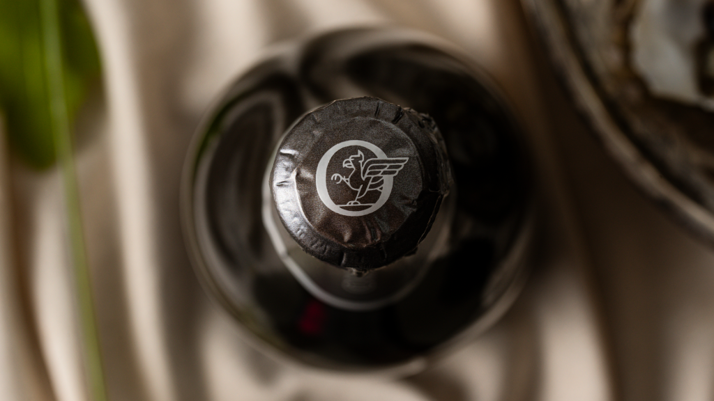 Image showing Corryton Burge griffin icon detail on top of sparkling foil hood